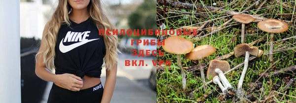 гашиш Алексин