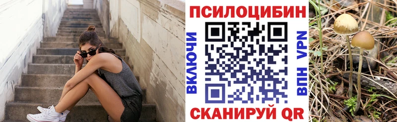 где можно купить   Киржач  Галлюциногенные грибы мухоморы 